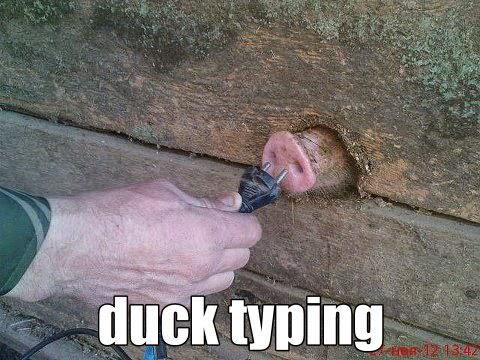 duck